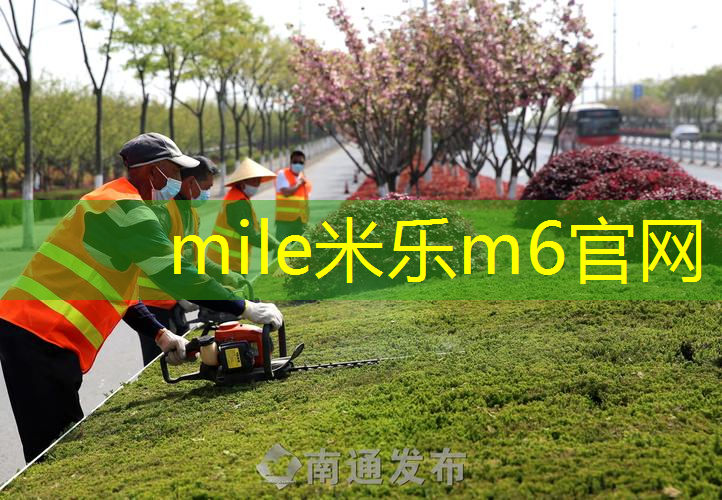 网球拍避震条系法