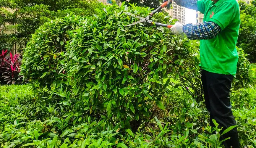 mile米乐m6官网：大家的网球拍怎么放车上