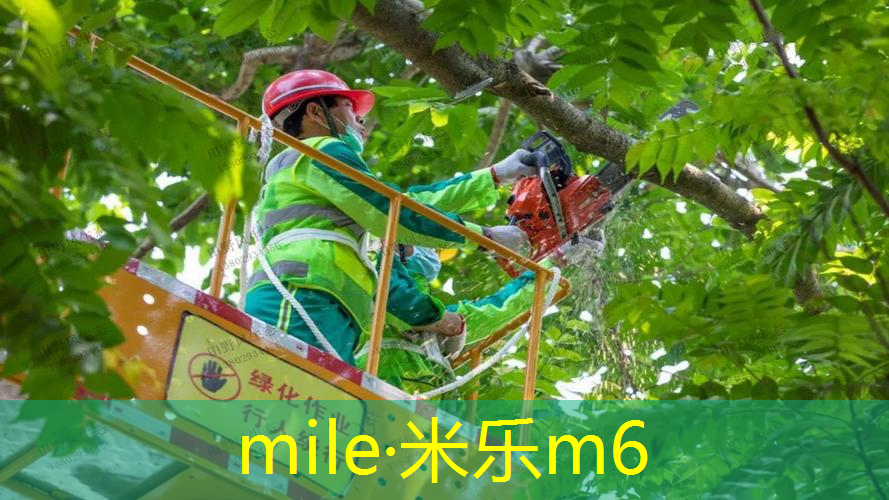 金宇体育用品网球拍