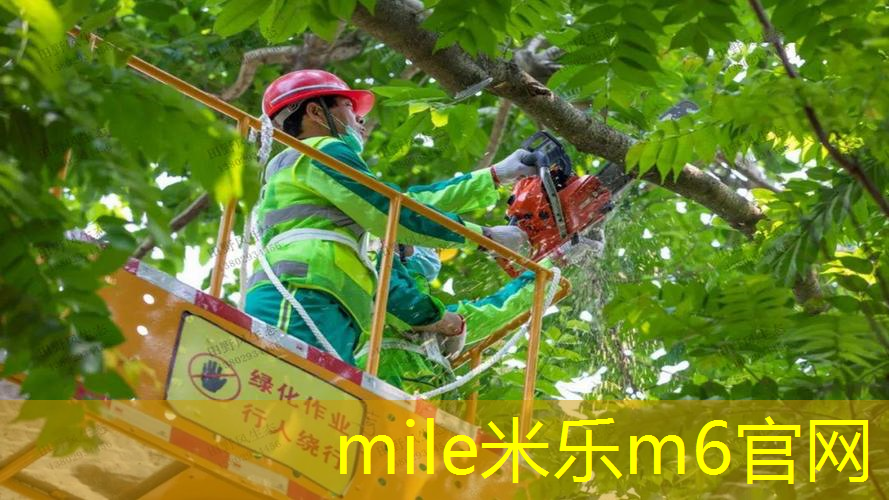 mile·米乐m6：小伙室内健身