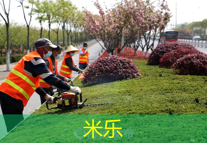 米乐m6官网：标准乒乓球台面有多长尺寸