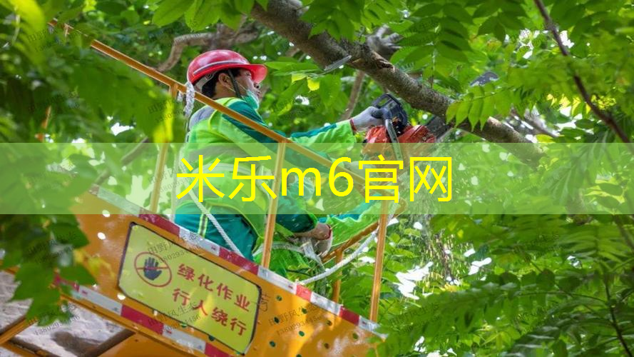 网球拍粘鲜花怎么处理掉