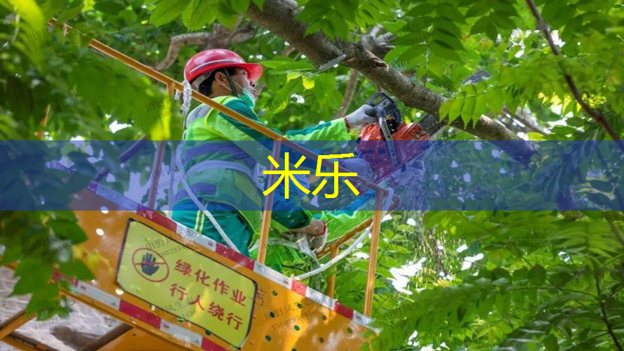 金宇体育用品网球拍