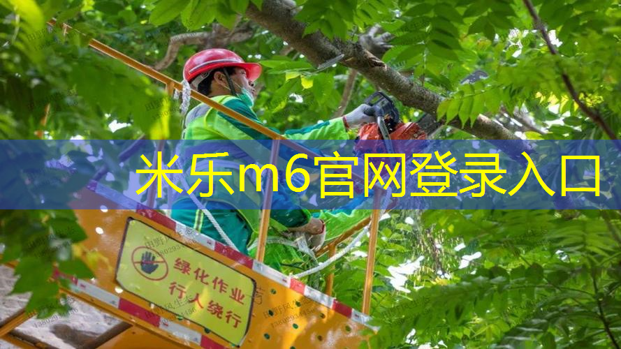 健康指南：如何根据室外体育健身器材报废年限选择合适时机更换？