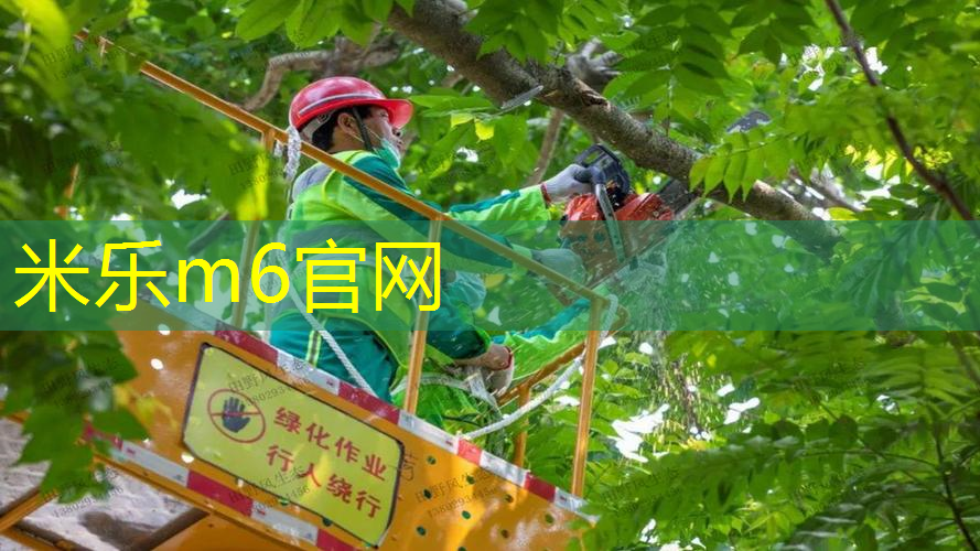 让运动成为享受！绿色室外体育健身器材让你爱上锻炼！