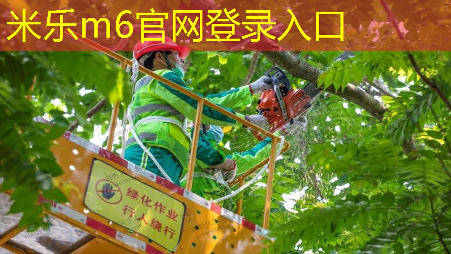 乒乓球台多少厘米长度